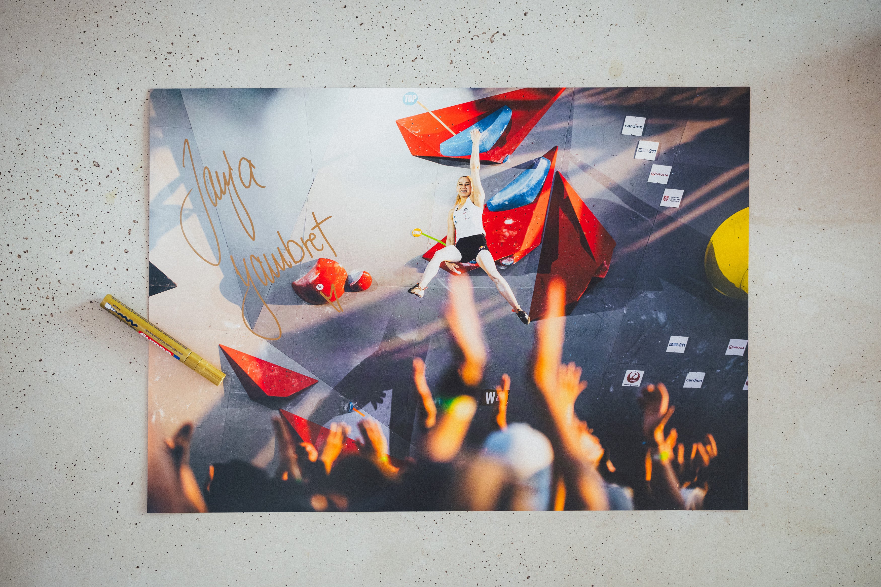Janja Poster 