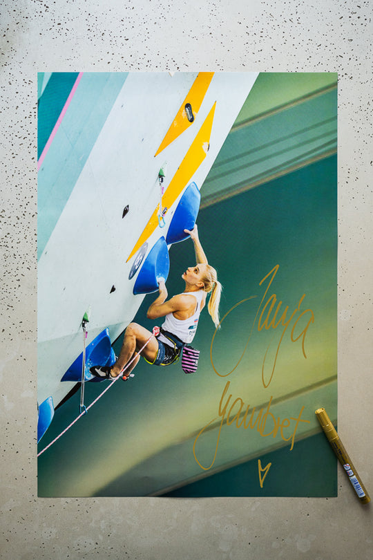 Limited Edition Poster Bundle
